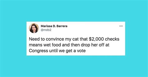 Every week, we round up the most hilarious quips from parents on Twitter to spread the joy. . Huffpost tweets cats